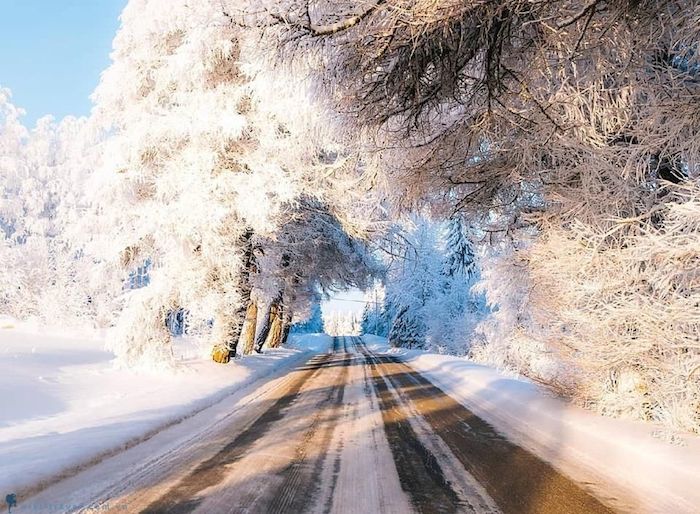 Con đường tuyết trắng Mustolanmaki ở Phần Lan. Ảnh: Pinterest