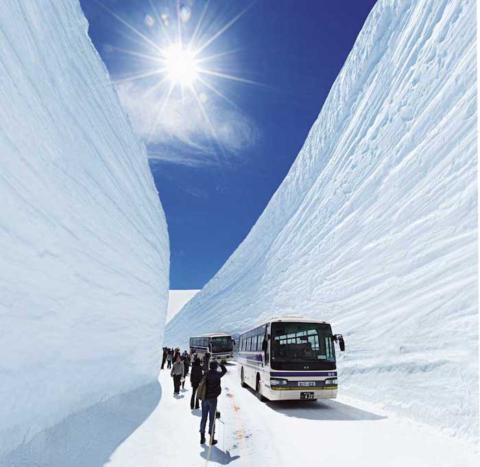 Con đường tuyết trắng Tateyama Kurobe Alpine. Ảnh: Japanvisitor