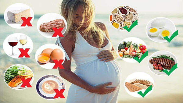 Phụ nữ mang thai cần biết sử dụng các loại thực phẩm